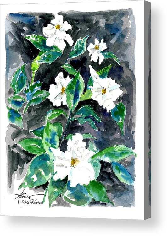 Flowers Acrylic Print featuring the painting Fragrant Beauty by Adele Bower