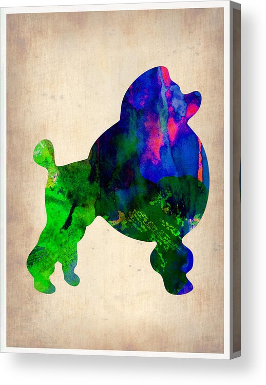 French Poodle Acrylic Print featuring the painting French Poodle Watercolor by Naxart Studio