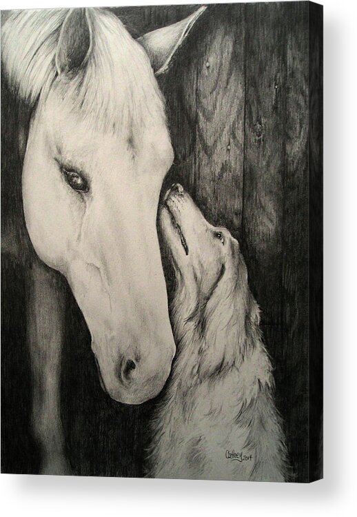 Horse Acrylic Print featuring the drawing Friends by Catherine Howley