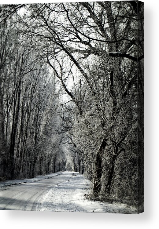 Fog Acrylic Print featuring the photograph Frozen Road by Wayne Meyer