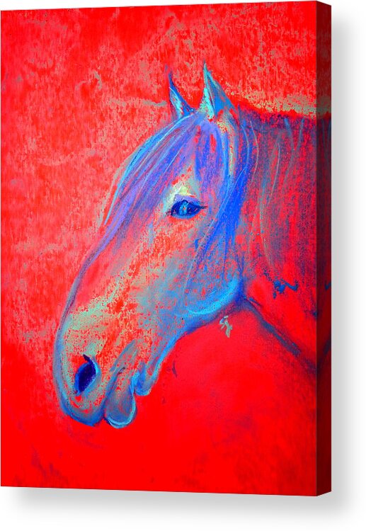 Animals Acrylic Print featuring the painting Funky Handsome Horse Blue by Sue Jacobi