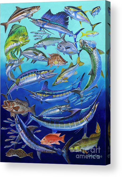 Gamefish Acrylic Print featuring the painting Gamefish Collage In0031 by Carey Chen