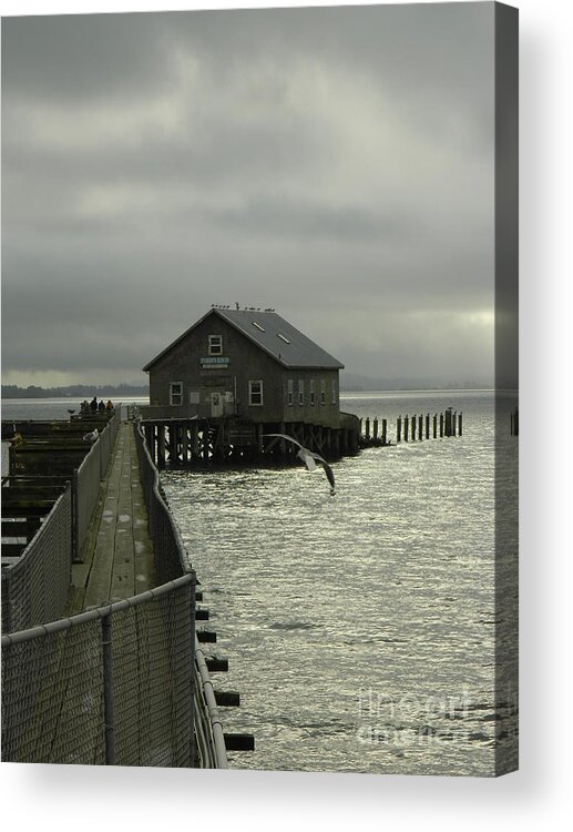 Nature Acrylic Print featuring the photograph Garibaldi Pier 2 by Gallery Of Hope 