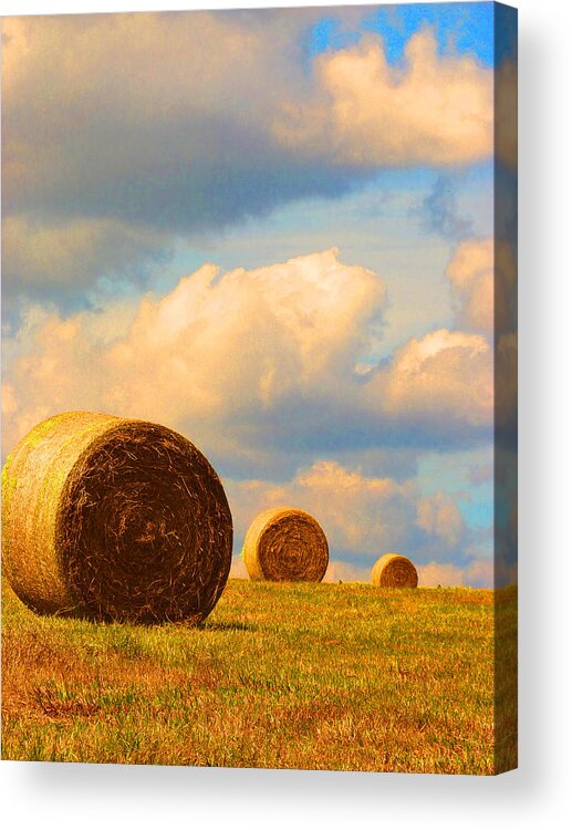  Round Bales Acrylic Print featuring the photograph Going Going Gone by Susan Duda