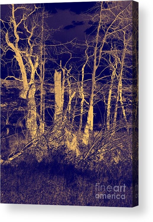 Landscape Acrylic Print featuring the photograph Golden Forest by Mickey Harkins