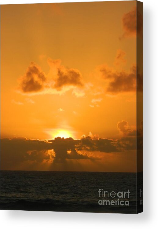 Sunset Acrylic Print featuring the photograph Golden Sunset by Gallery Of Hope 