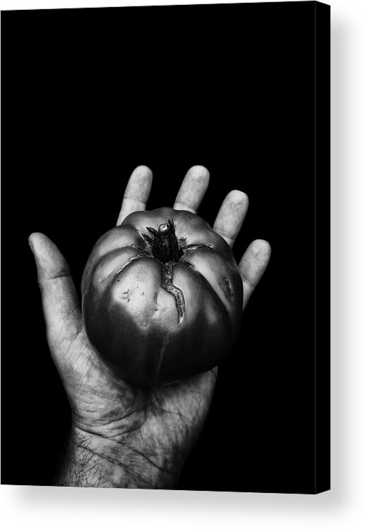 Goliath Tomato Acrylic Print featuring the photograph Goliath Means Goliath by Ben Shields