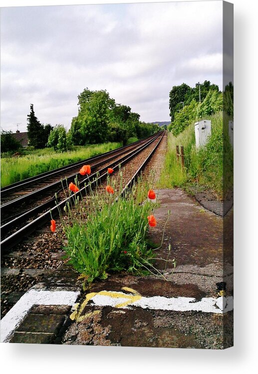 Landscape Acrylic Print featuring the photograph Waiting by Airybot 