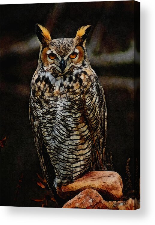 Owl Acrylic Print featuring the digital art Great Horned Owl Digital Art by Ernest Echols