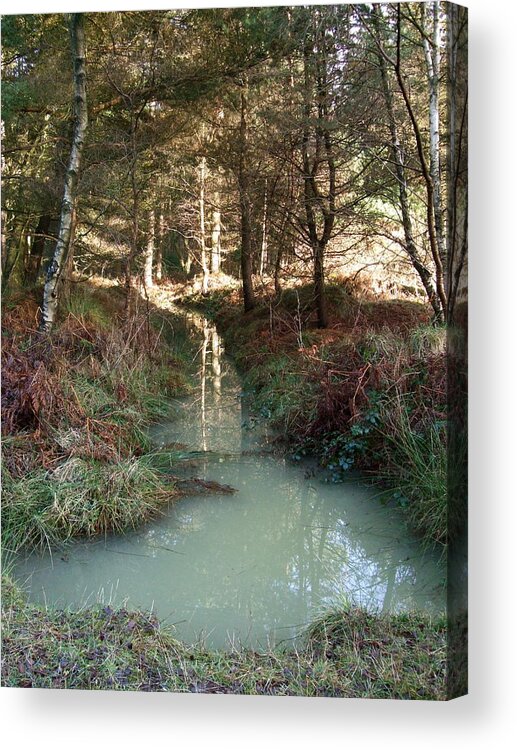 Cannock Chase Acrylic Print featuring the photograph Green reflections by Jean Walker