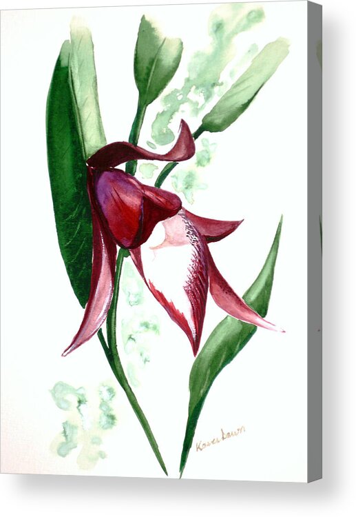  Acrylic Print featuring the painting Ground Orchid by Karin Dawn Kelshall- Best