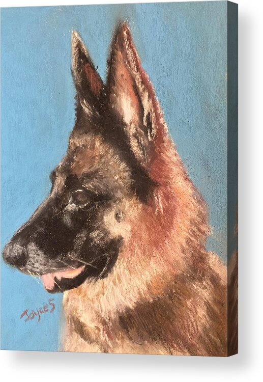 German Shepherd Dog Acrylic Print featuring the painting Hallie by Joyce Spencer