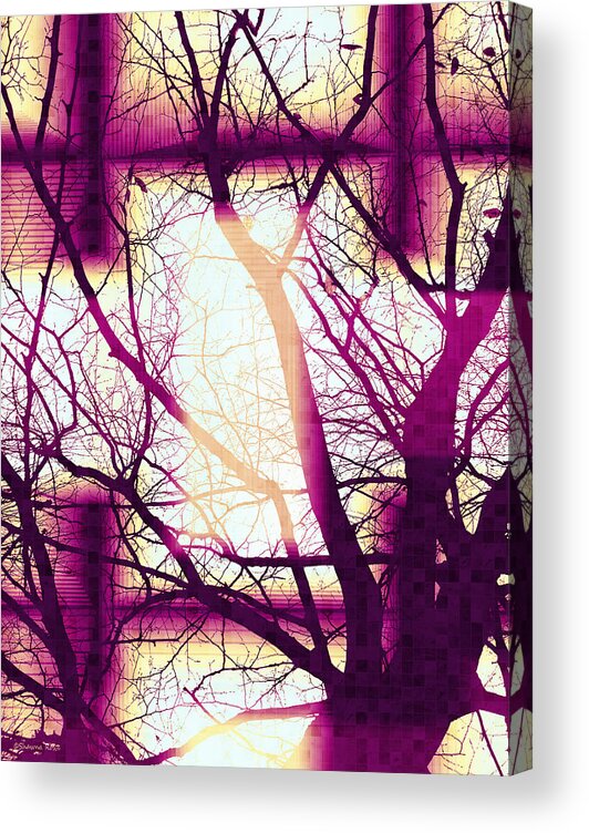 Colorful Acrylic Print featuring the digital art Harmonious Colors - Fuschia Sky Blue and Cream by Shawna Rowe