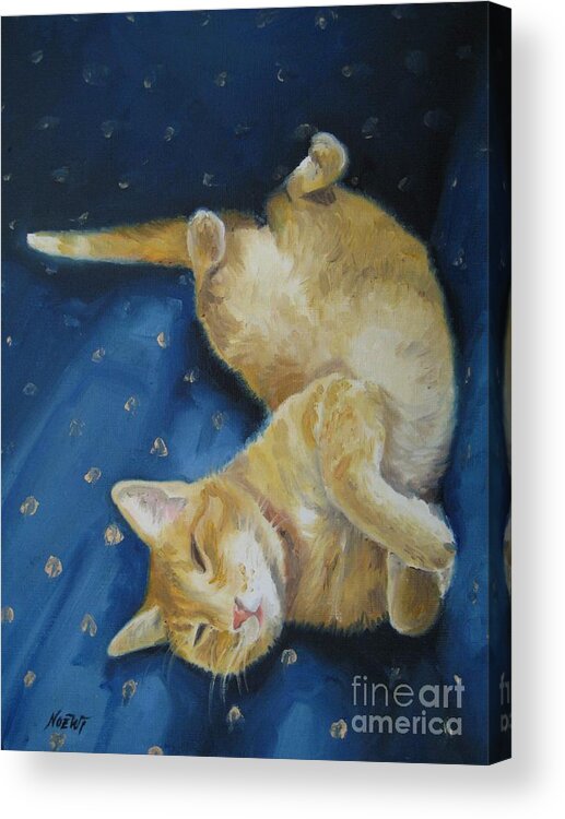 Noewi Acrylic Print featuring the painting Harold the Orange Cat by Jindra Noewi