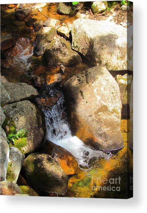 Water Acrylic Print featuring the photograph Hidden Waterfall by Elizabeth Dow