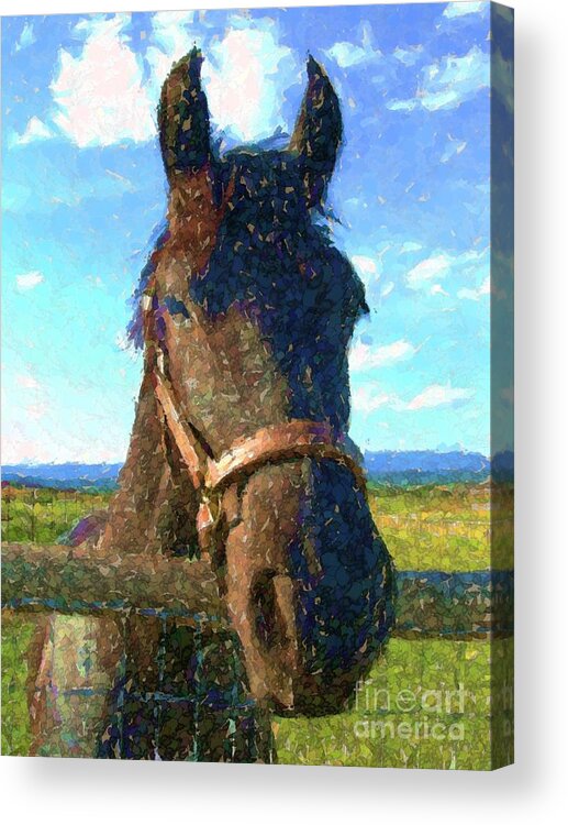 Horse Looks Over Fence Acrylic Print featuring the digital art Horse looks over fence by Annie Gibbons