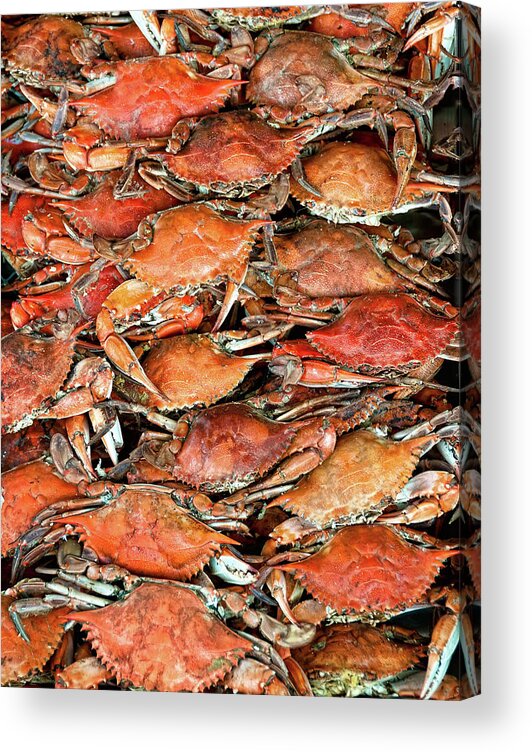 In A Row Acrylic Print featuring the photograph Hot Crabs by Sky Noir Photography By Bill Dickinson
