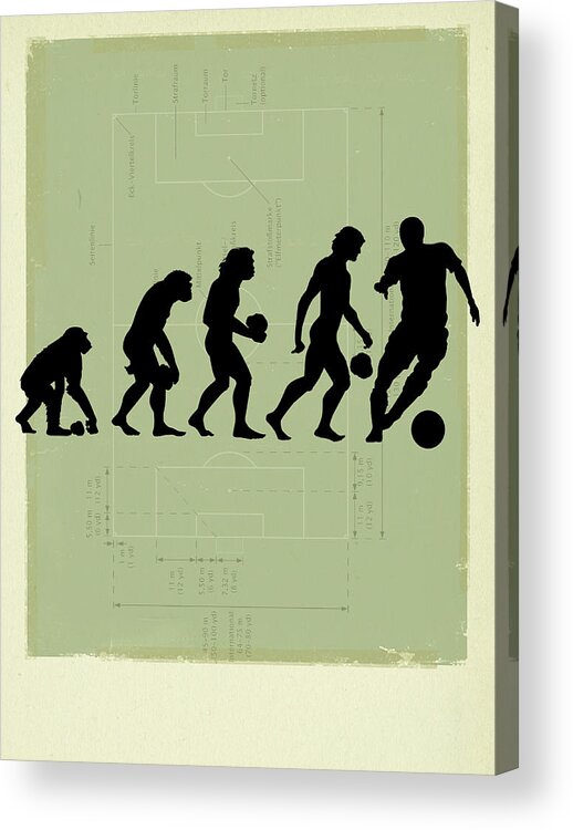 Human Acrylic Print featuring the photograph Human Evolution by Smetek