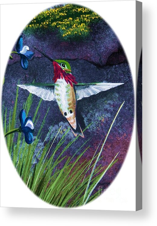 Hummimgbird Acrylic Print featuring the painting Hummingbird Two by Jennifer Lake