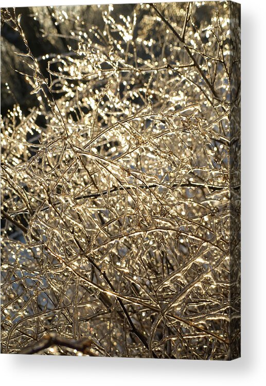 Burst Acrylic Print featuring the photograph Ice Burst by Shannon Workman