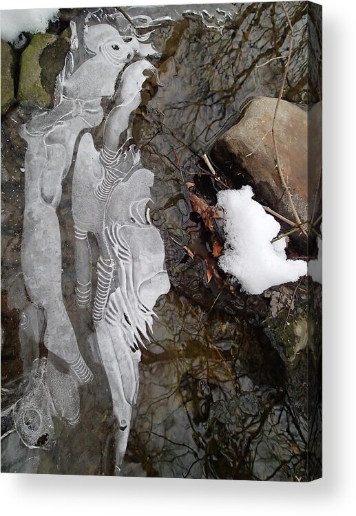 Winter Acrylic Print featuring the photograph Ice Flow by Robert Nickologianis