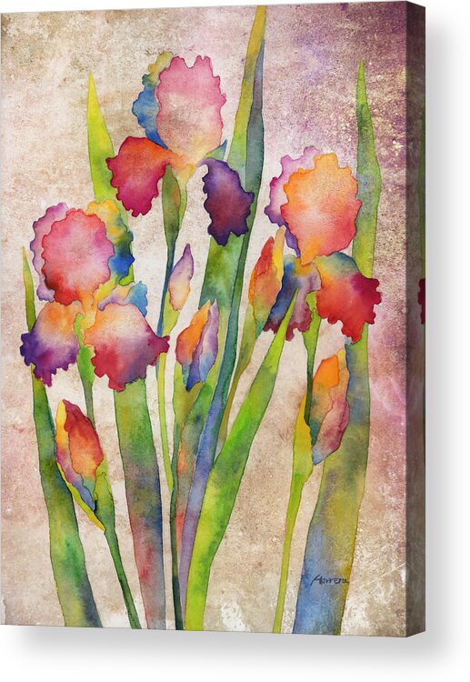 Iris Acrylic Print featuring the painting Iris Elegance on Pink by Hailey E Herrera