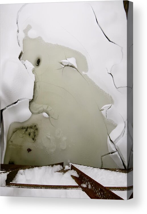 Ice Acrylic Print featuring the photograph Jack Frost Nipping at Your Nose by Azthet Photography