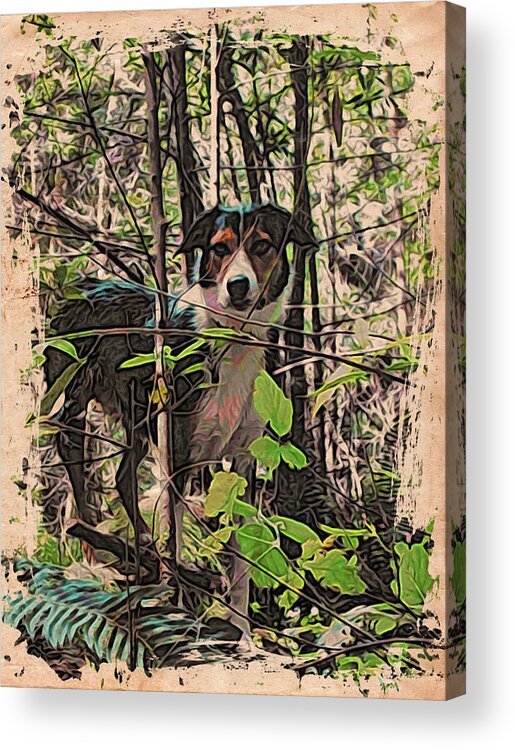 Dog Acrylic Print featuring the photograph Joy boy by Suzy Norris