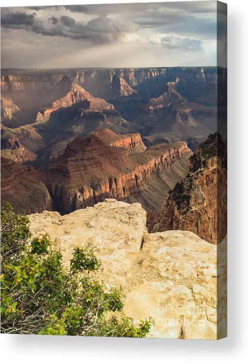 Grand Canyon Acrylic Print featuring the photograph Grand Canyon North Rim by Tamara Becker