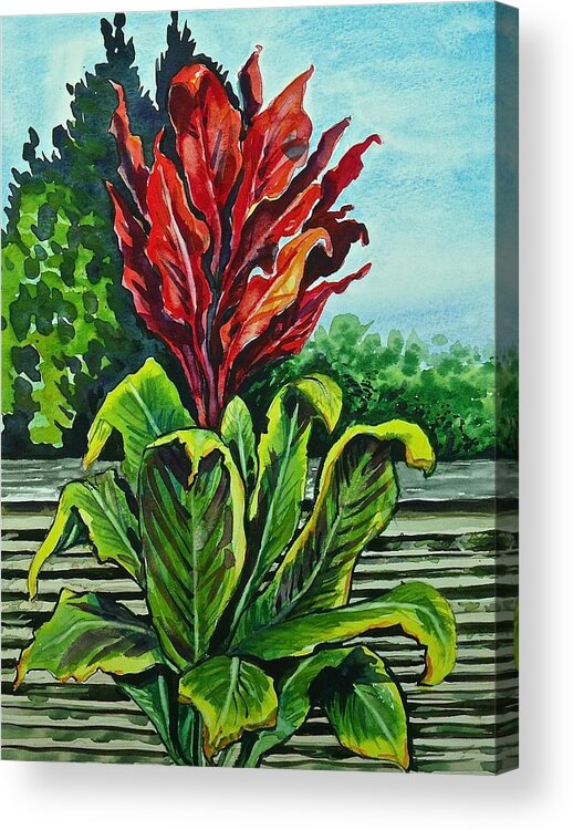 Watercolor Acrylic Print featuring the painting Kim Dracena by Lynne Haines