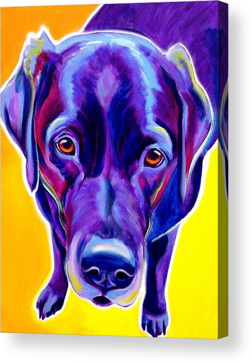 Dog Acrylic Print featuring the painting Lab - Messier by Dawg Painter
