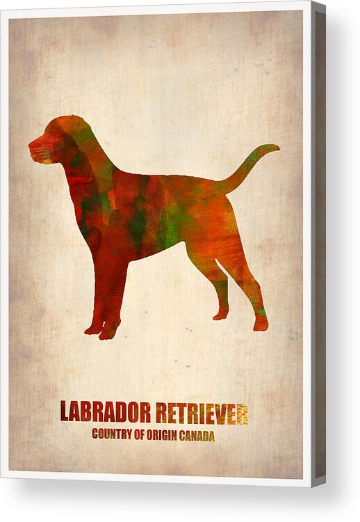 Labrador Retriever Acrylic Print featuring the painting Labrador Retriever Poster by Naxart Studio