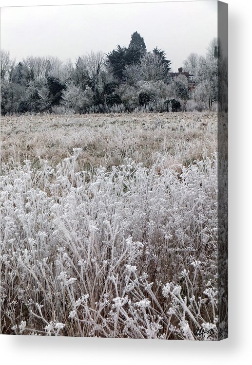 Frosty Landsape Acrylic Print featuring the photograph Layer Cake by Laura Hol Art