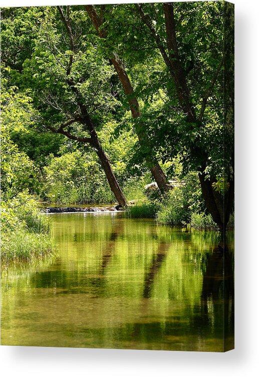 Reflection Acrylic Print featuring the photograph Leaning Trees by John Rohloff