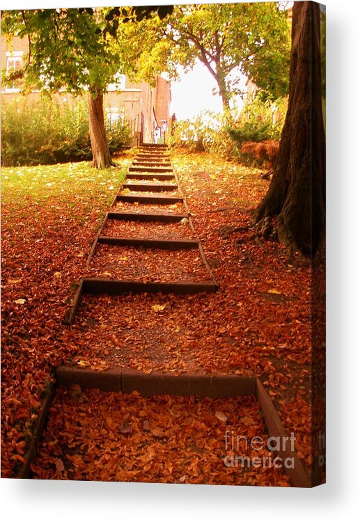 City Acrylic Print featuring the photograph Leaves on The Steps at The City Park by Joan-Violet Stretch