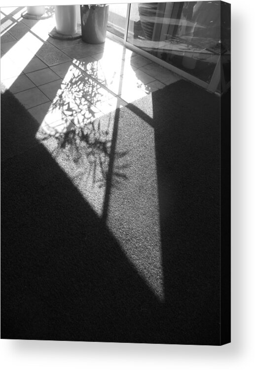 Light At An Angle Acrylic Print featuring the photograph Light at an Angle by Esther Newman-Cohen