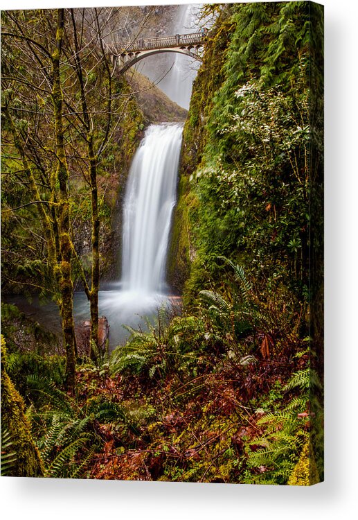 Oregon Acrylic Print featuring the photograph Lower Multnomah Falls by Scott Law