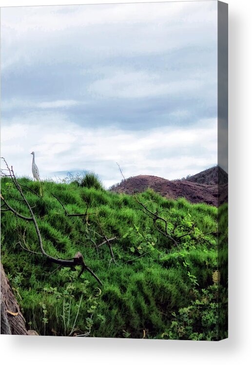 Hawaii Acrylic Print featuring the photograph Makena 18 by Dawn Eshelman