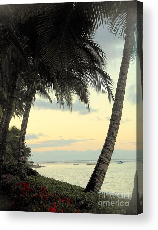 Palm Trees Acrylic Print featuring the photograph Maui Morning by Fred Wilson