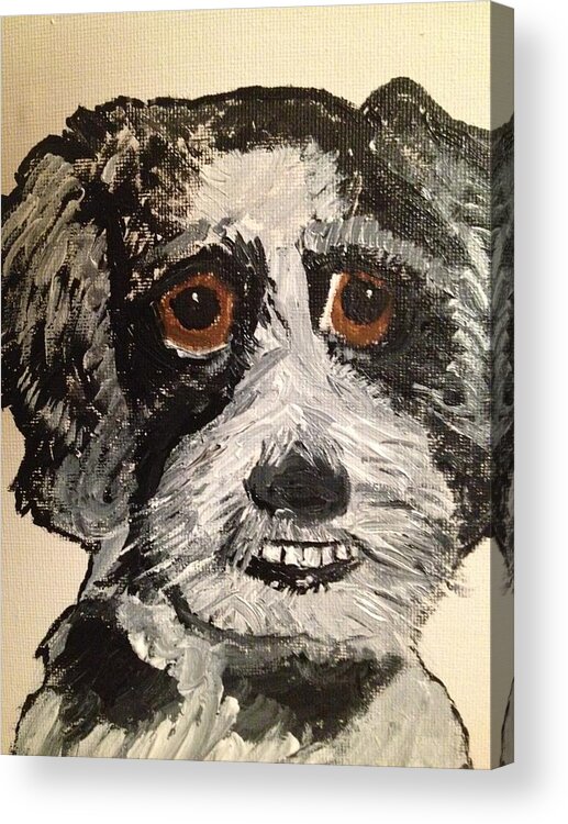 Max Acrylic Print featuring the painting Max by Paula Brown