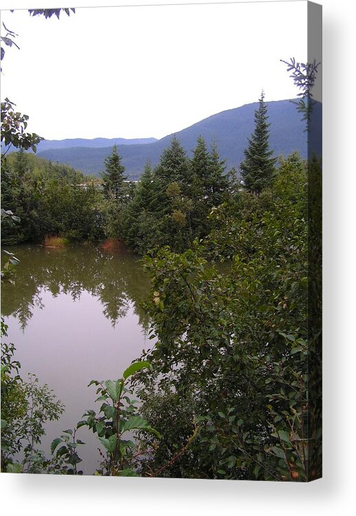 Pond Acrylic Print featuring the painting Mendenhall pond by Annika Farmer