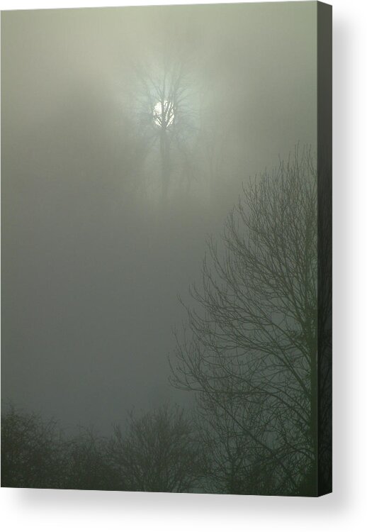 Mist Acrylic Print featuring the photograph Misty Tree by John Topman