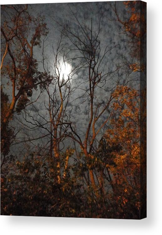Moon Acrylic Print featuring the photograph Moon Shiner by Guy Ricketts