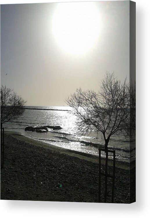 Landscape Acrylic Print featuring the photograph Morning Sun by Andreea Alecu