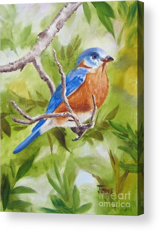 Bluebird Acrylic Print featuring the painting Mr. Bluebird by Jimmie Bartlett