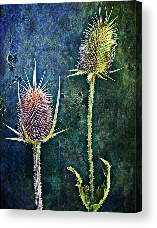Texture Acrylic Print featuring the digital art Nature Abstract 12 by Maria Huntley
