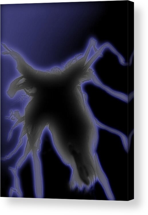 Digital Photography Acrylic Print featuring the photograph Night Stalker by Linda N La Rose