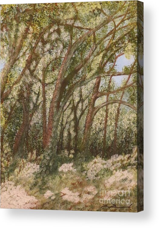Trees Acrylic Print featuring the painting Oak Tree Afternoon by Tim Townsend