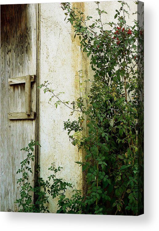 Garden Acrylic Print featuring the photograph Olde Garden Wall by Pamela Patch