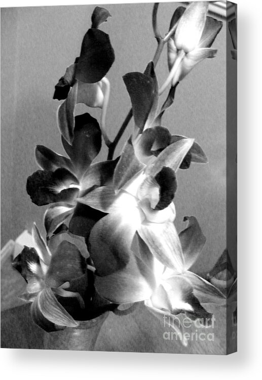 Black And White Photography Acrylic Print featuring the photograph Orchids 2 BW by Barbara A Griffin
